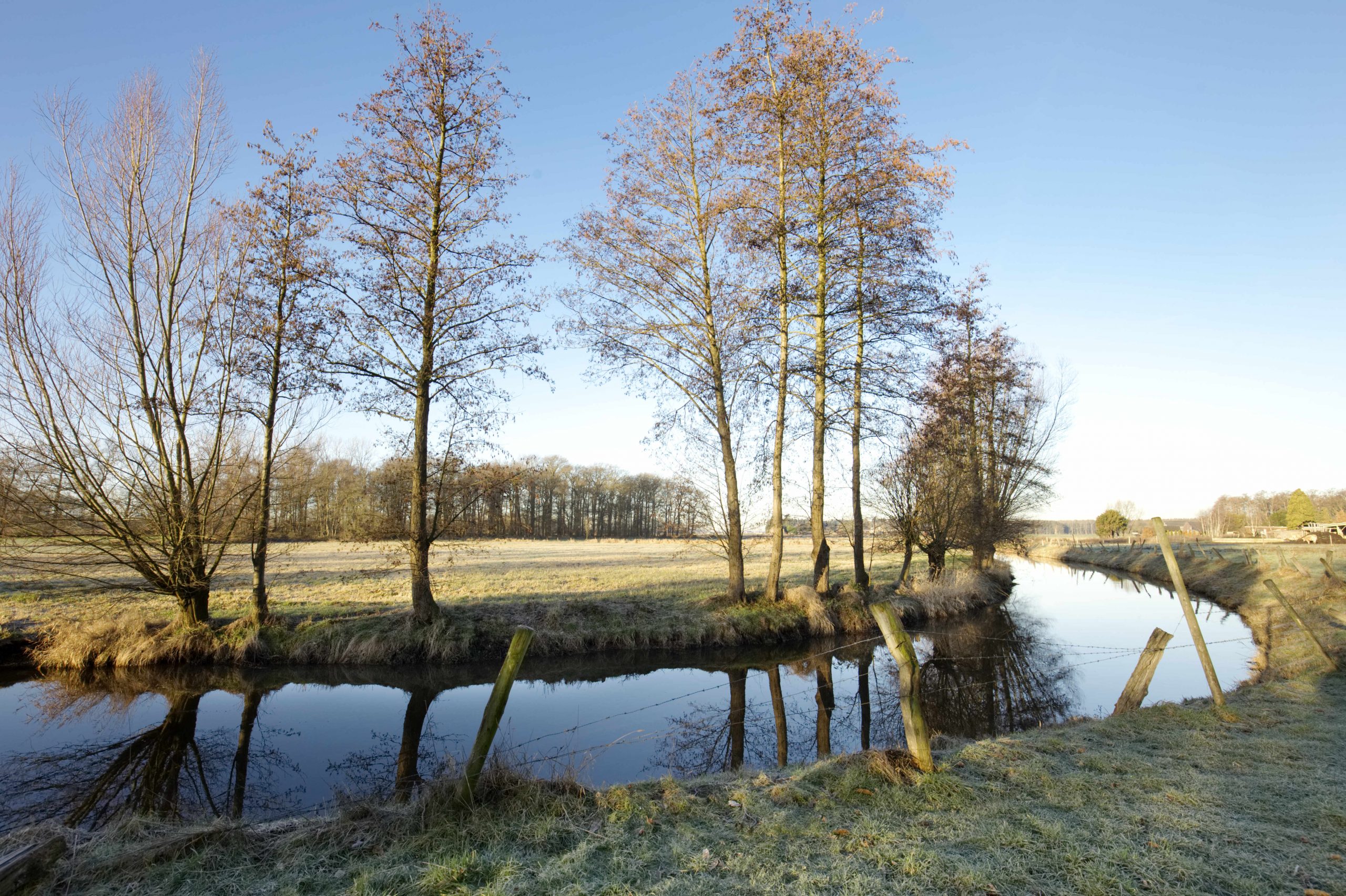 02.2018_2 Binnenheide