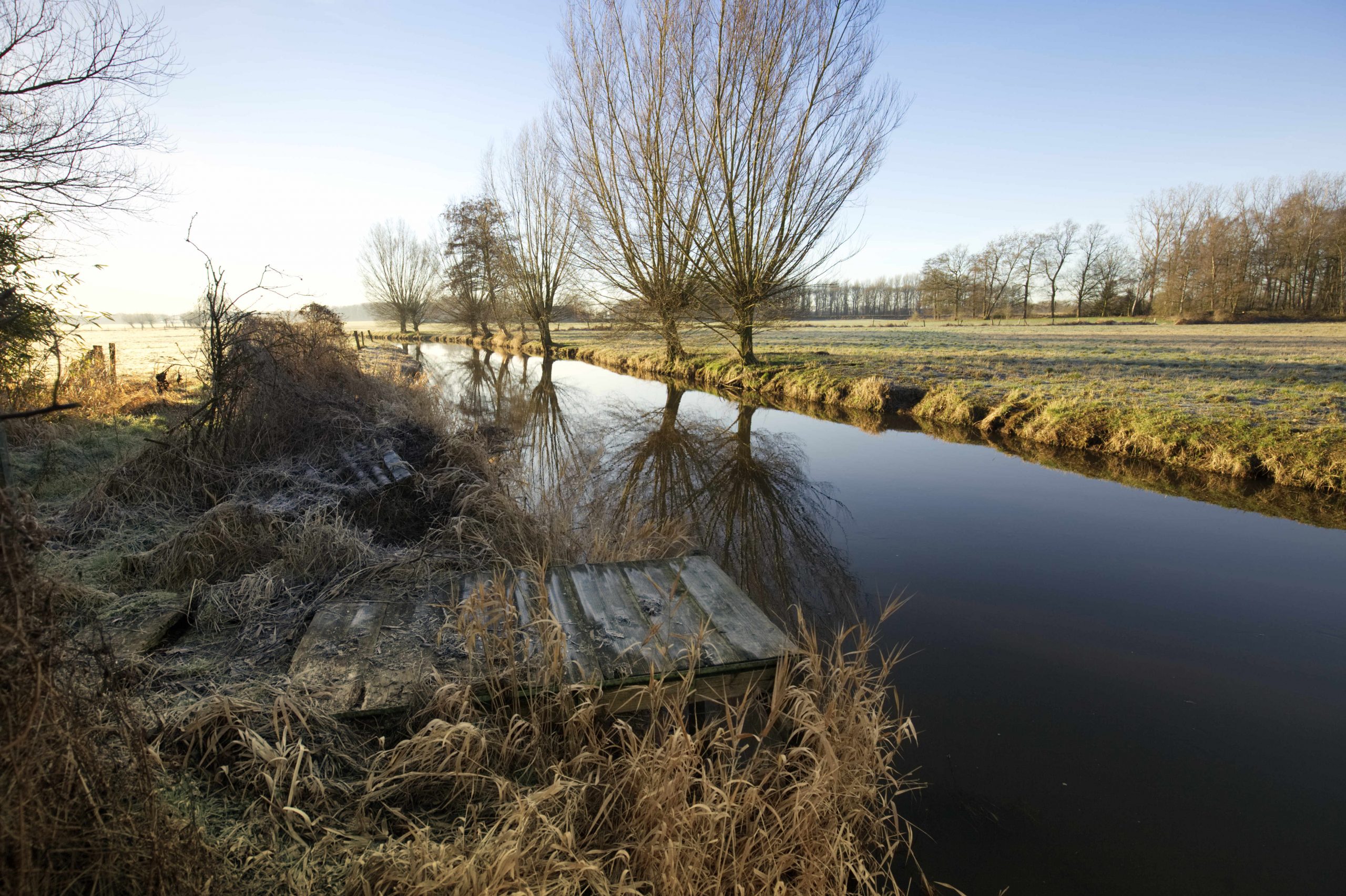 02.2018_4 Binnenheide