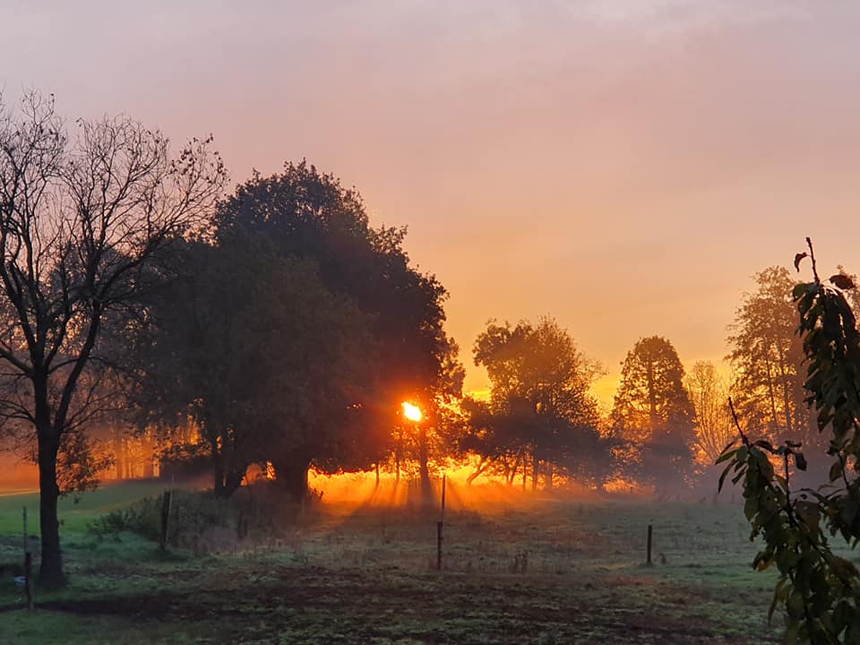 Binnenheide schöne Fotos Herbst 2019 - 1