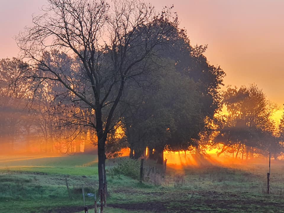 Binnenheide schöne Fotos Herbst 2019 - 2