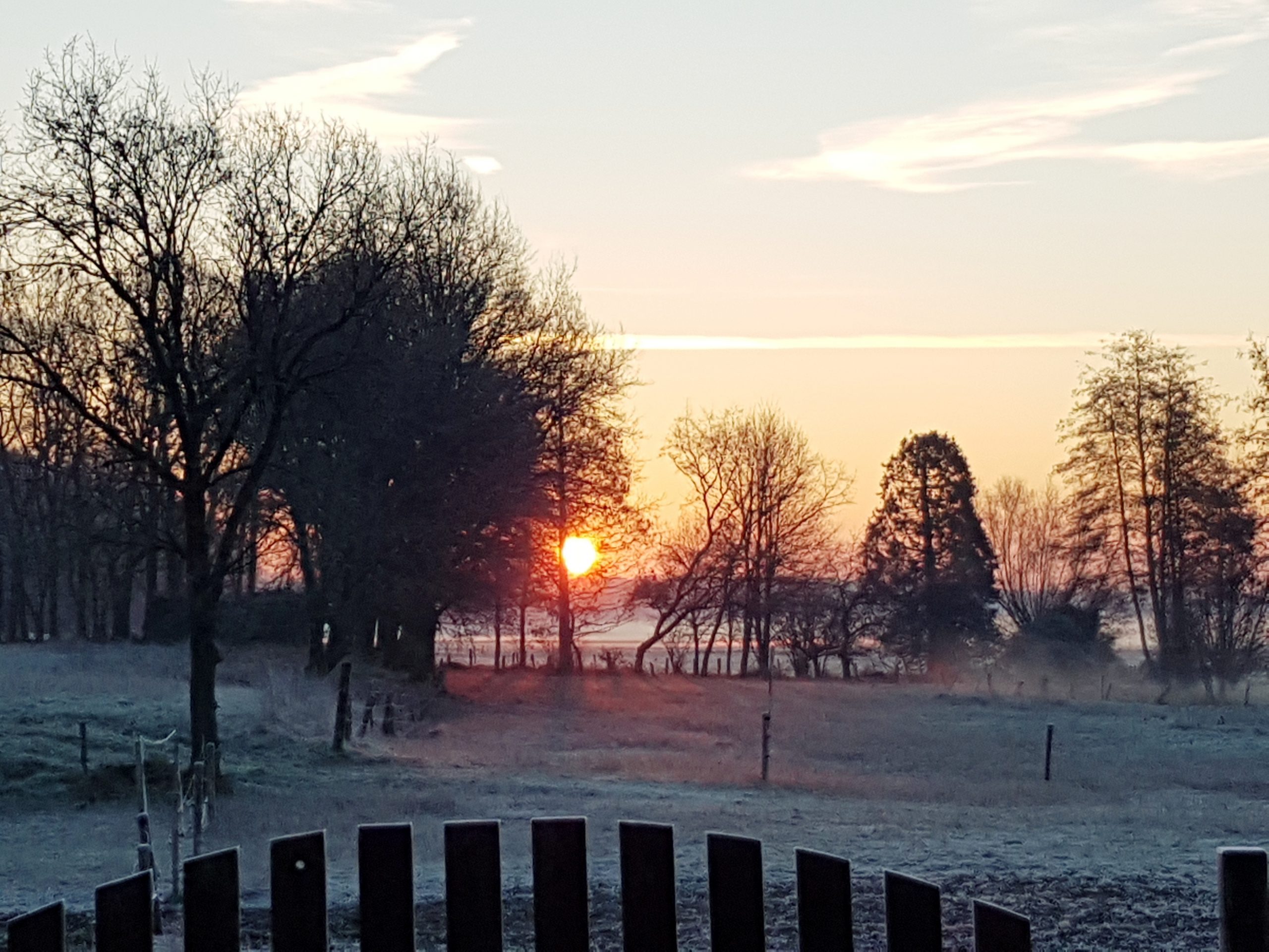 Zauberhafte Binnenheide im Winter 2