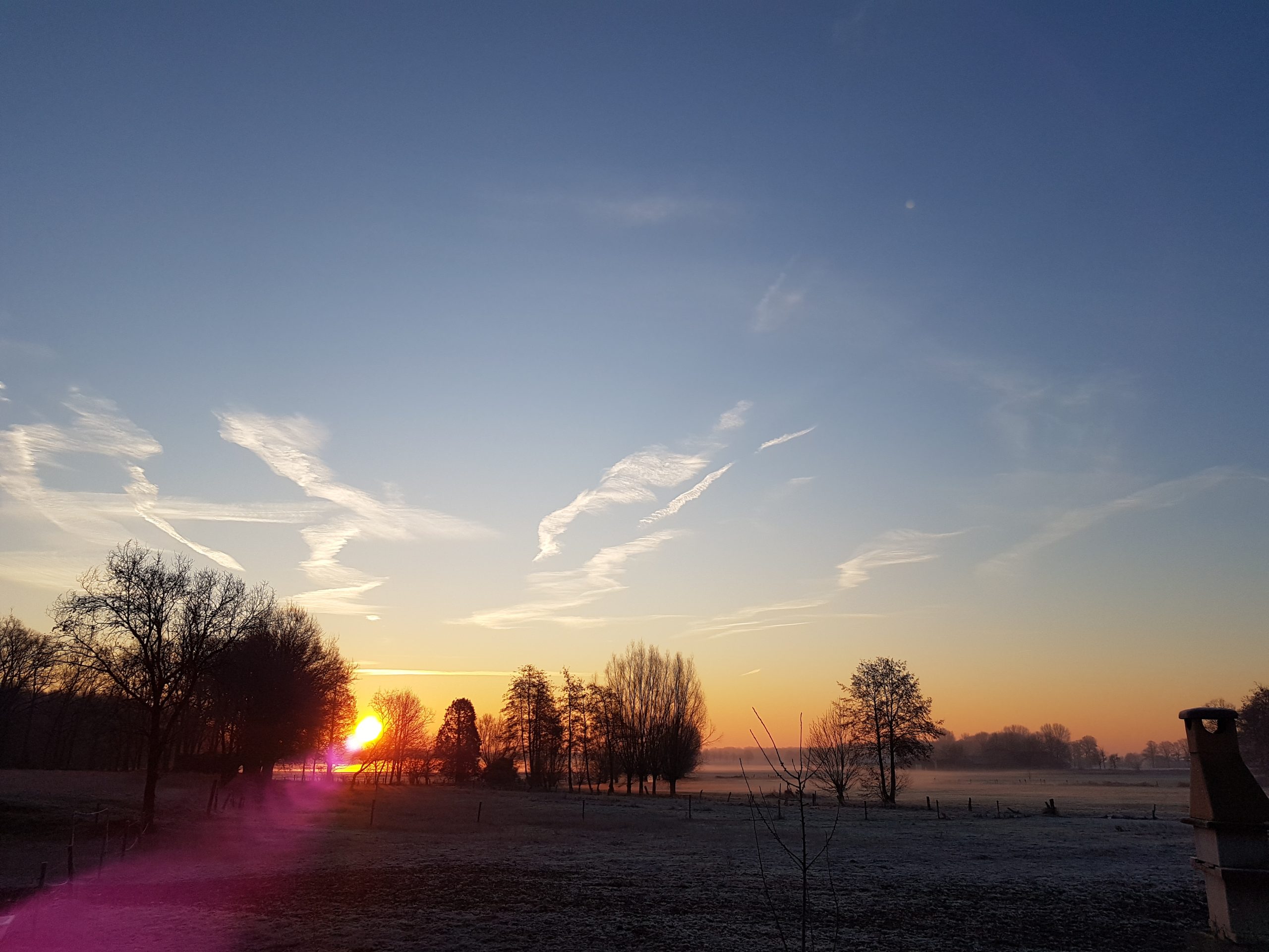 Zauberhafte Binnenheide im Winter 3